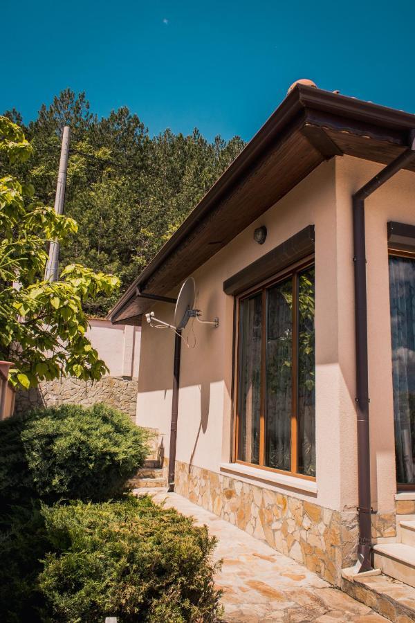 Rogachevo Dream Houseヴィラ エクステリア 写真